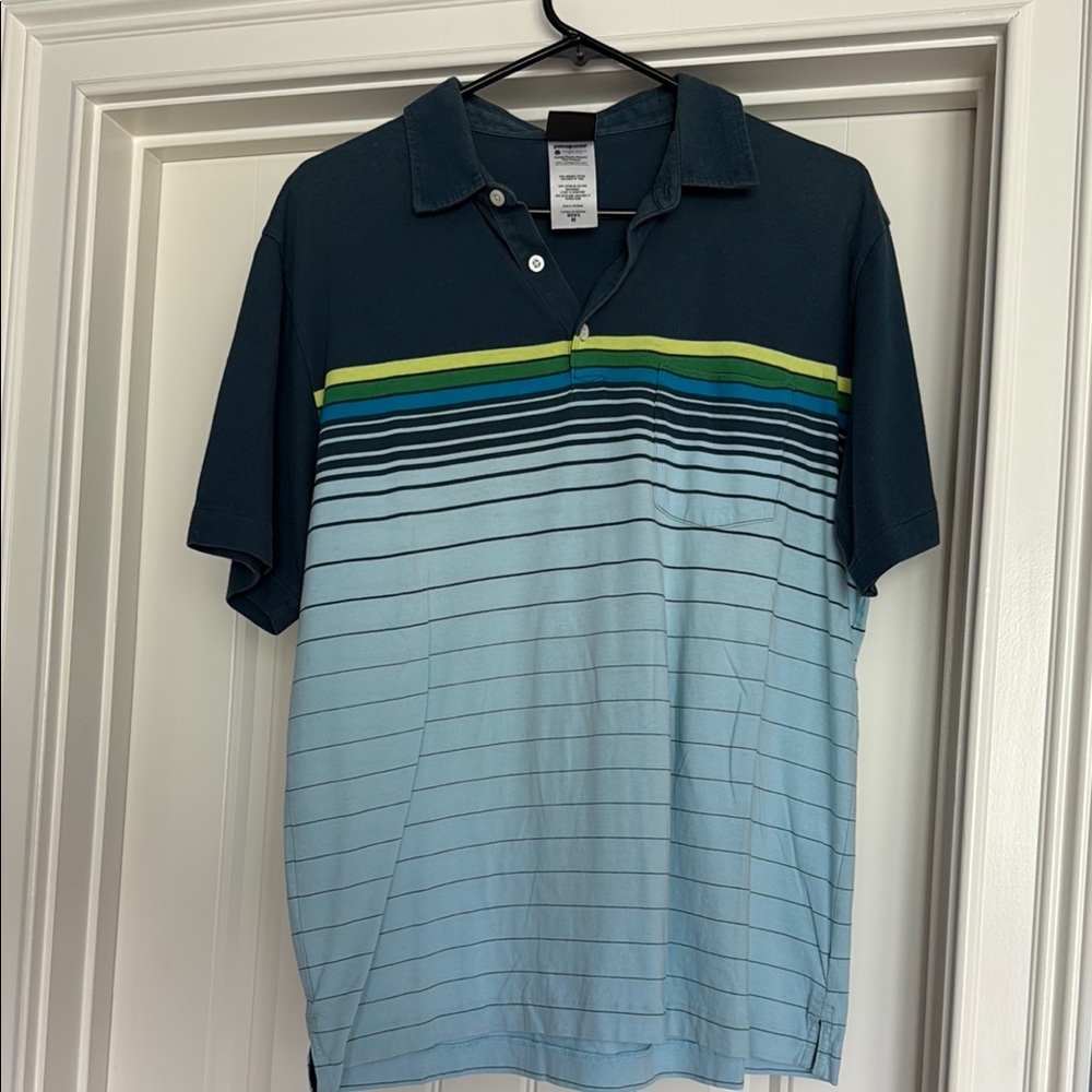 Men's Blue Striped Patagonia Polo Shirt